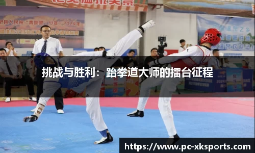 挑战与胜利：跆拳道大师的擂台征程